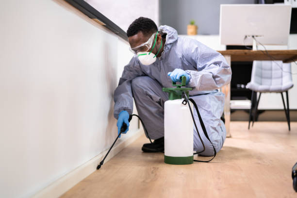 Best Real Estate Pest Inspections  in Jay, OK